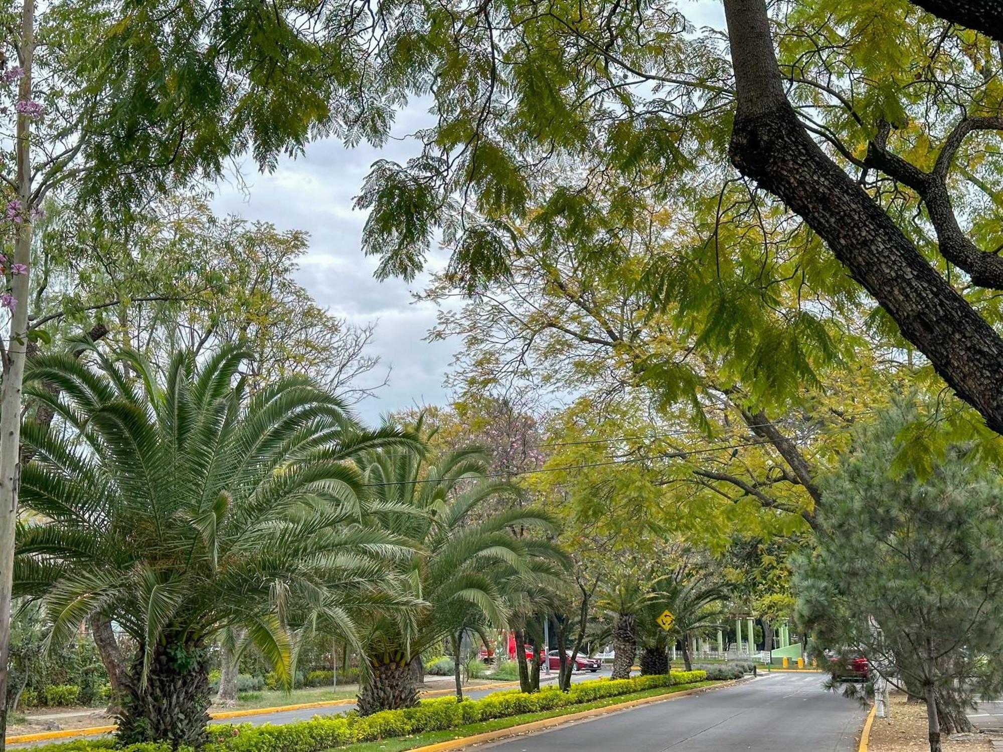 Estudio En Chapalita Estilo Y Confort Total 03 Guadalajara Ngoại thất bức ảnh